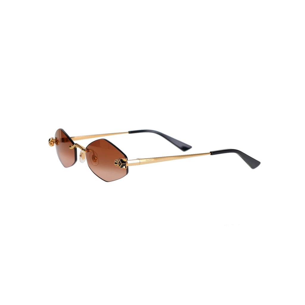 CT0433S Hexagonal Panthère Sunglasses