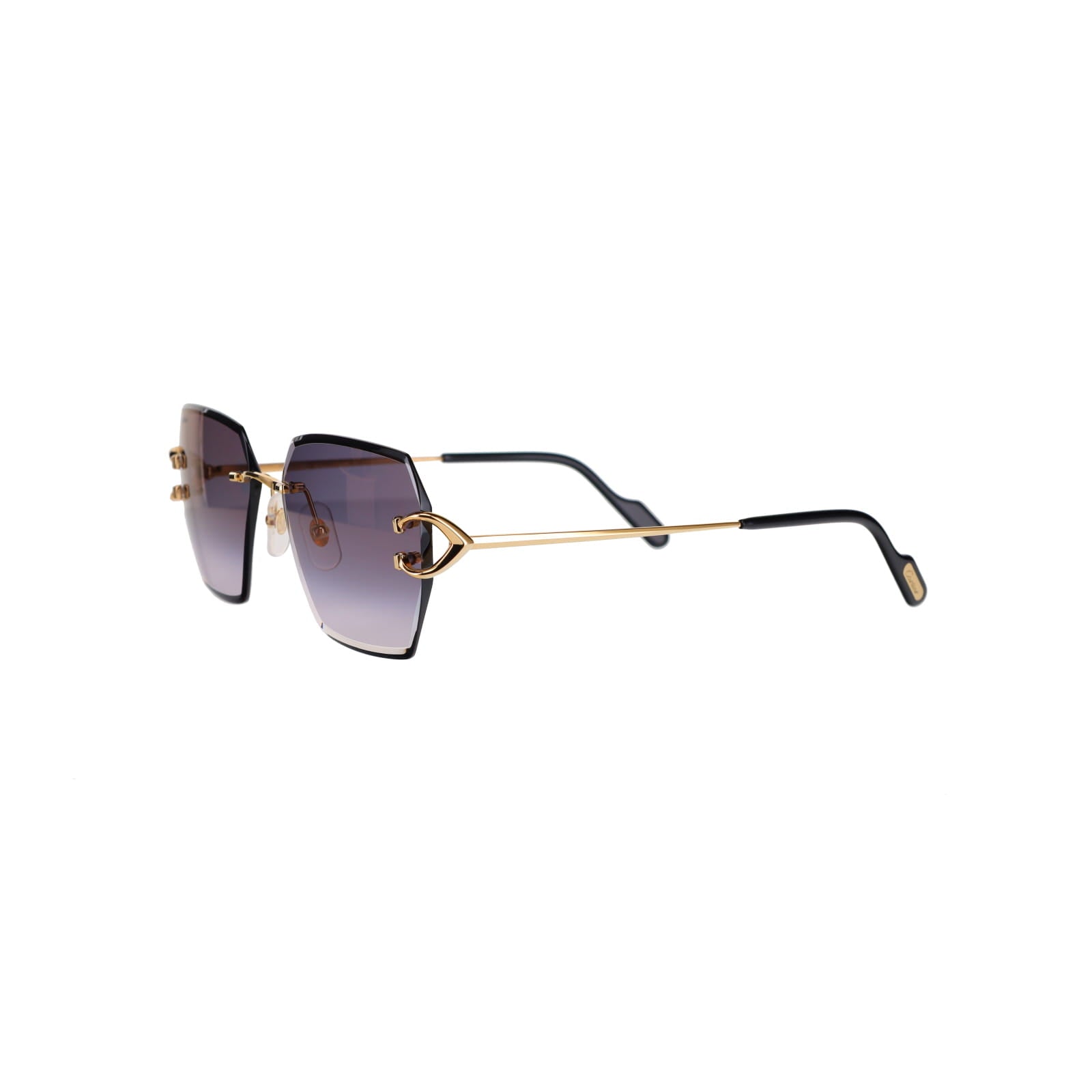 CT0466S  Signature C Sunglasses
