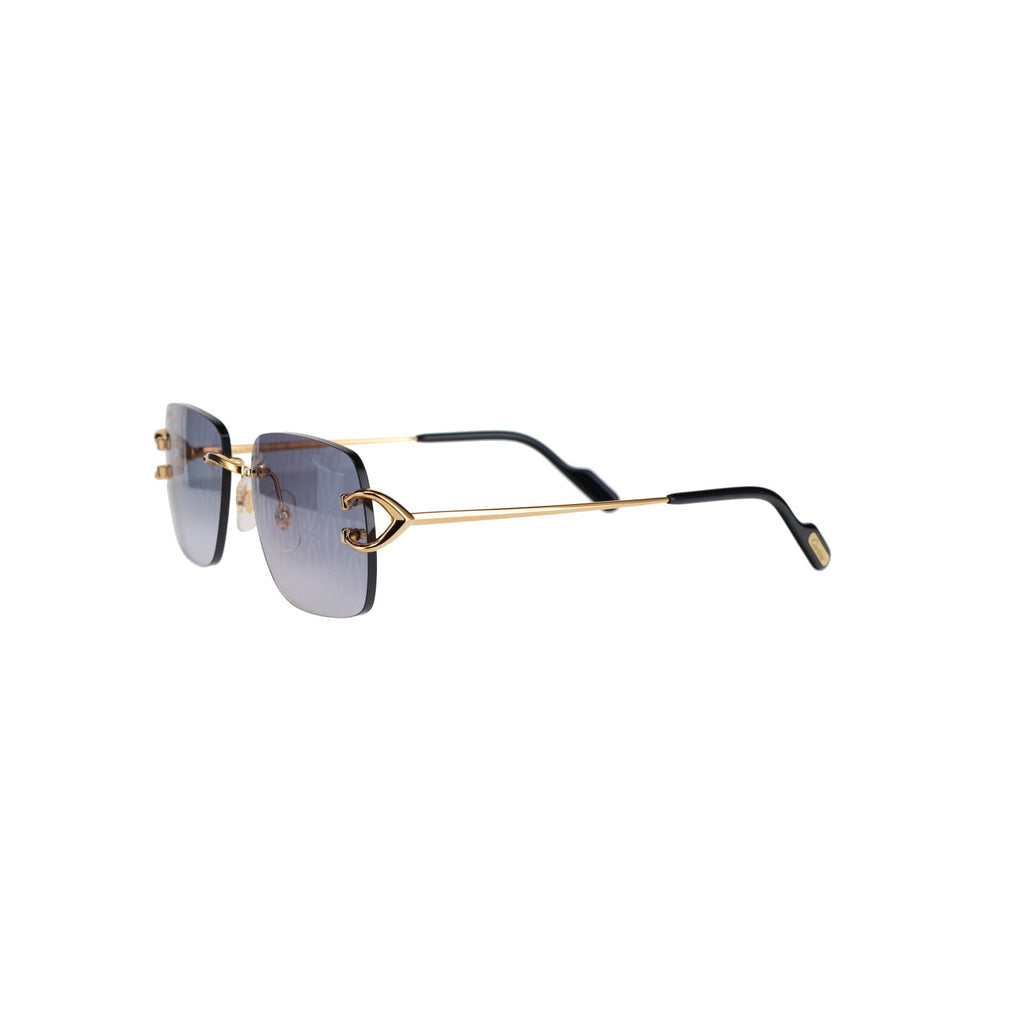 CT0330S Signature C  Sunglasses