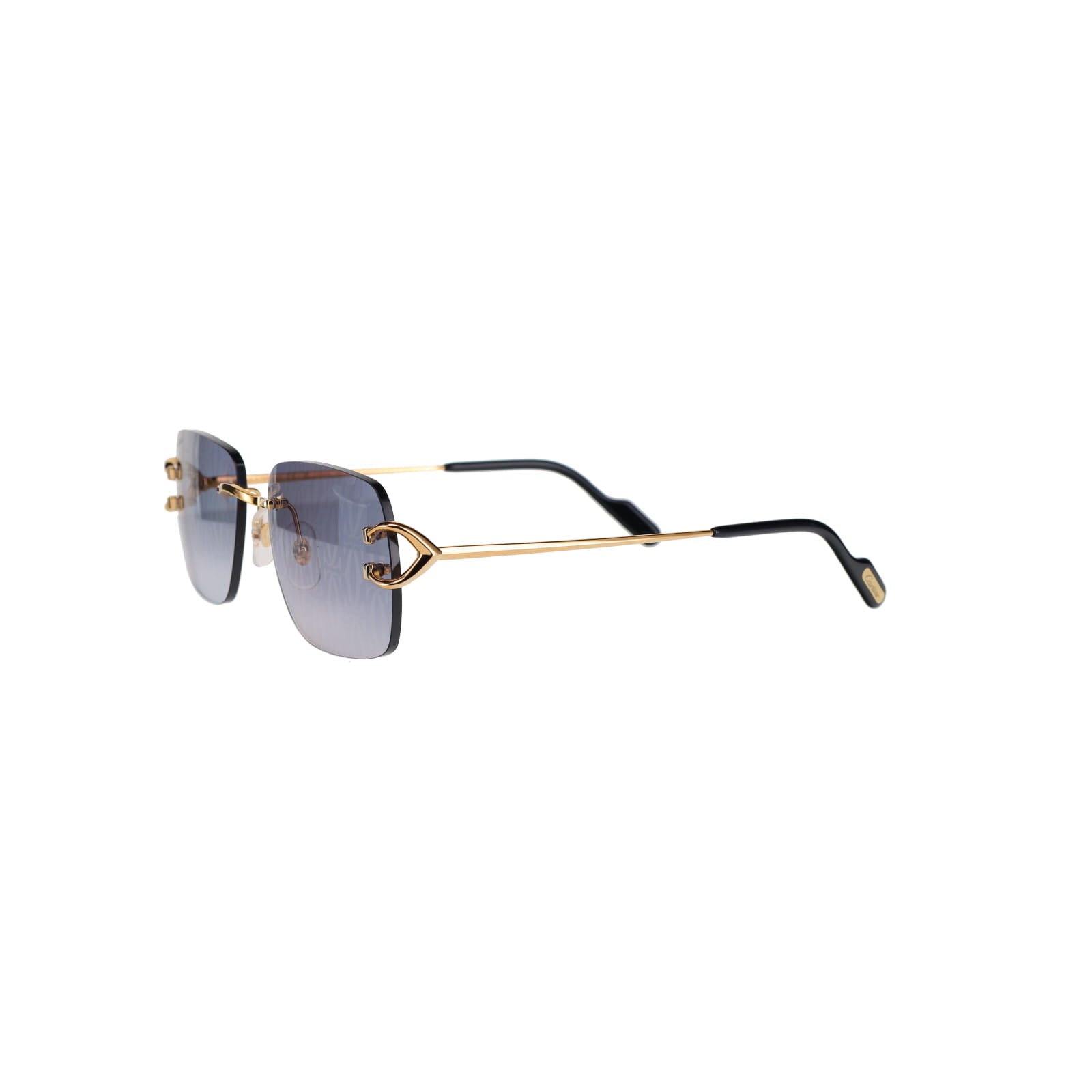 CT0330S Signature C  Sunglasses