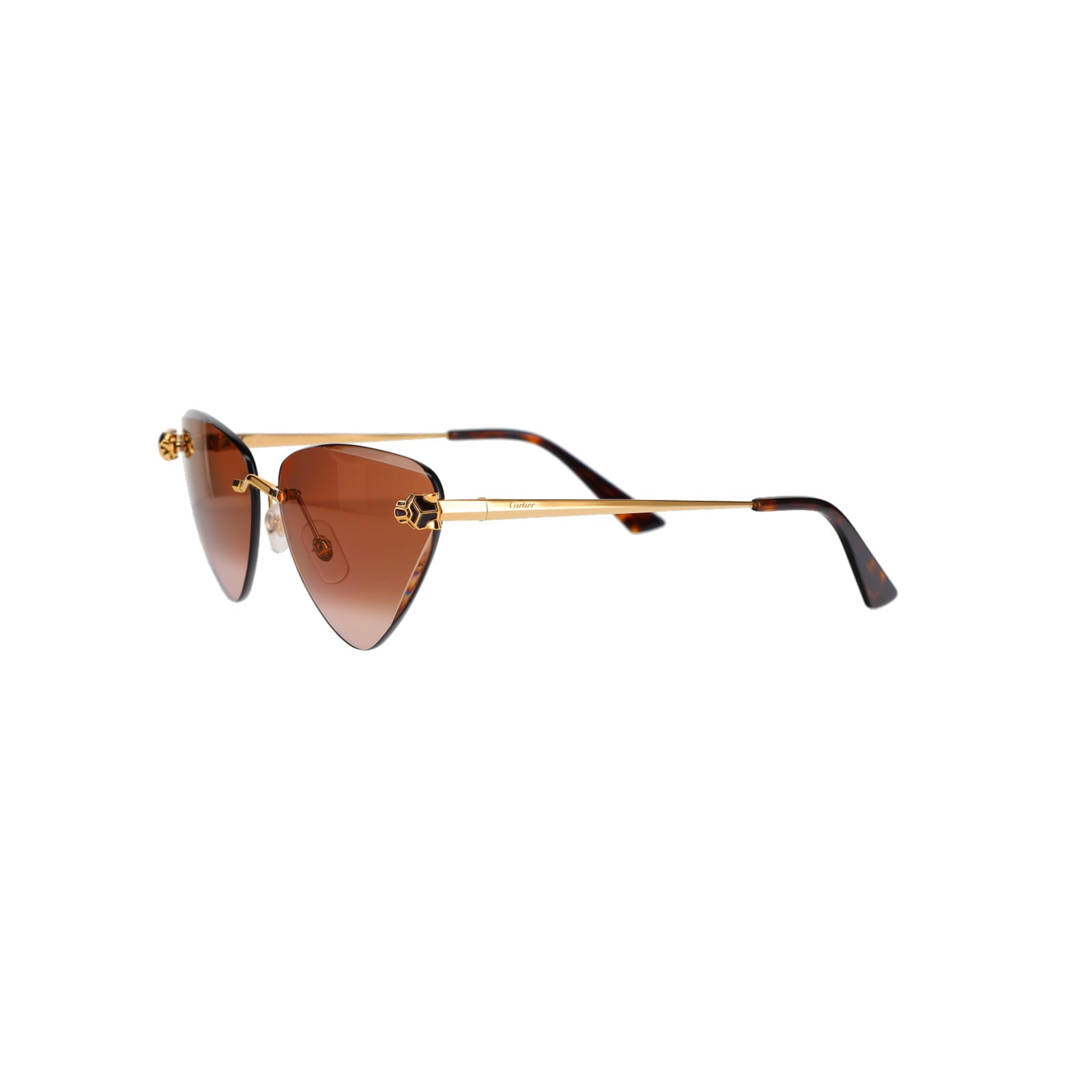 CT0399S Geometric Panthère Sunglasses