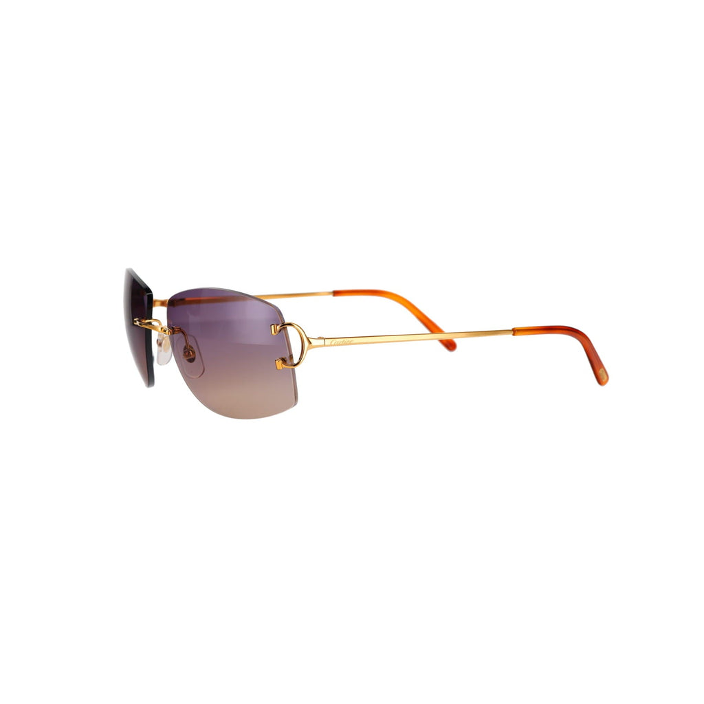 CT0008RS Signature C Sunglasses