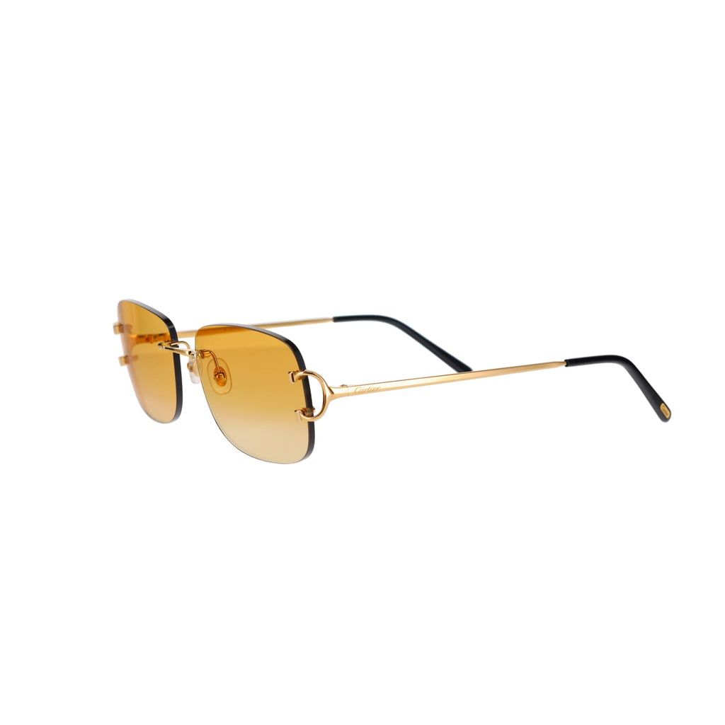 CT0011RS Signature C Sunglasses