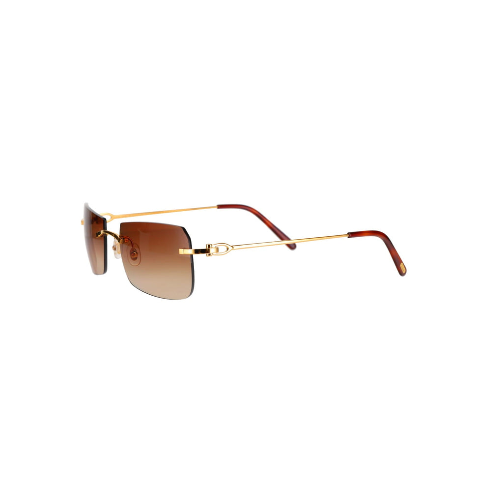 CT0006RS  C Décor Sunglasses