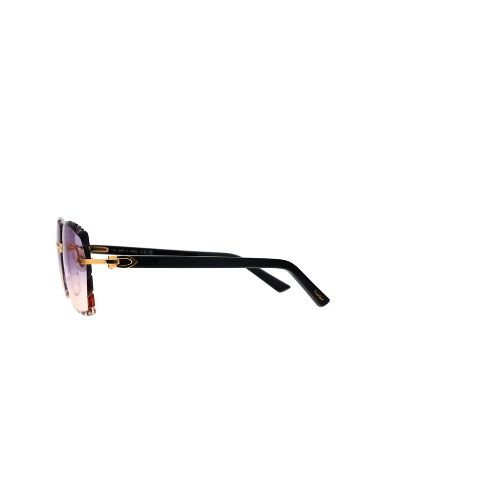 Cartier Custom C Décor Acetate Sunglasses