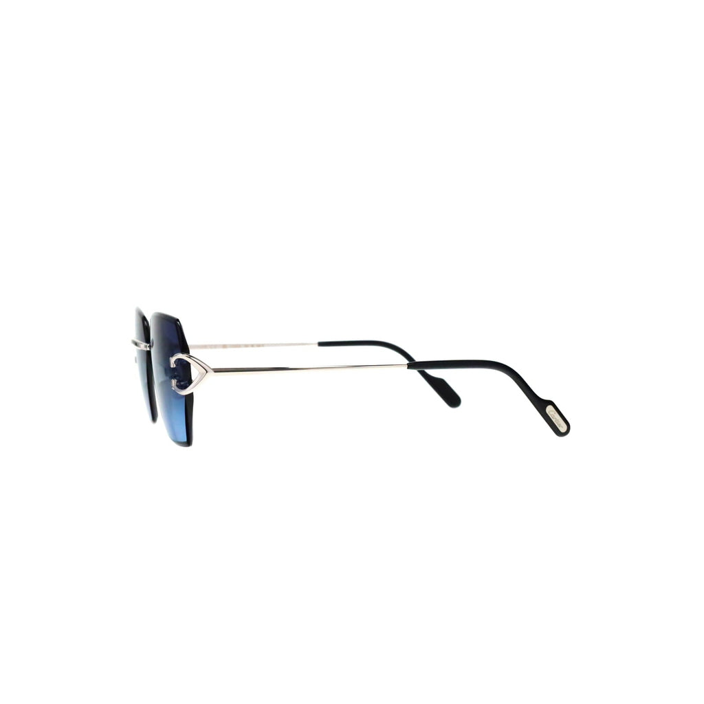CT0466S  Signature C Sunglasses