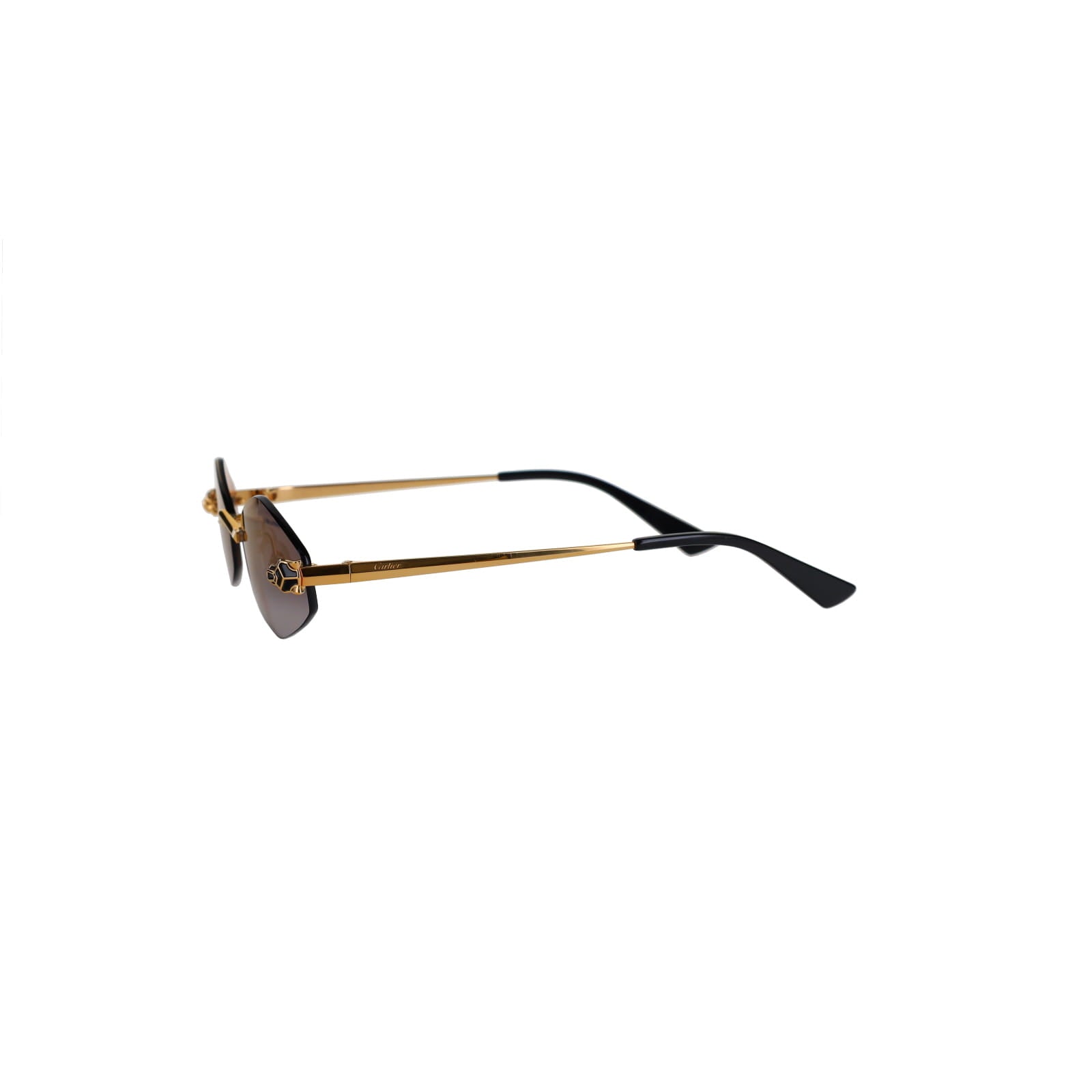 CT0433S Hexagonal Panthère Sunglasses