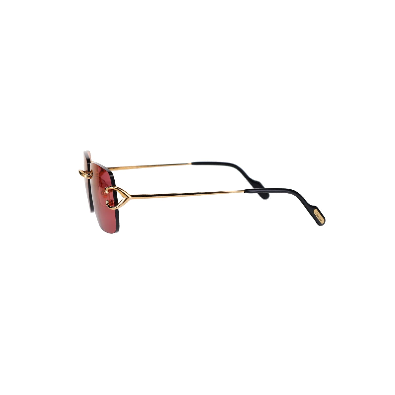 CT0330S Signature C  Sunglasses