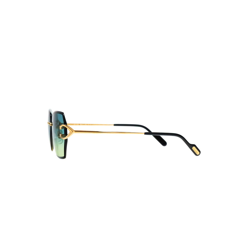 CT0466S  Signature C Sunglasses