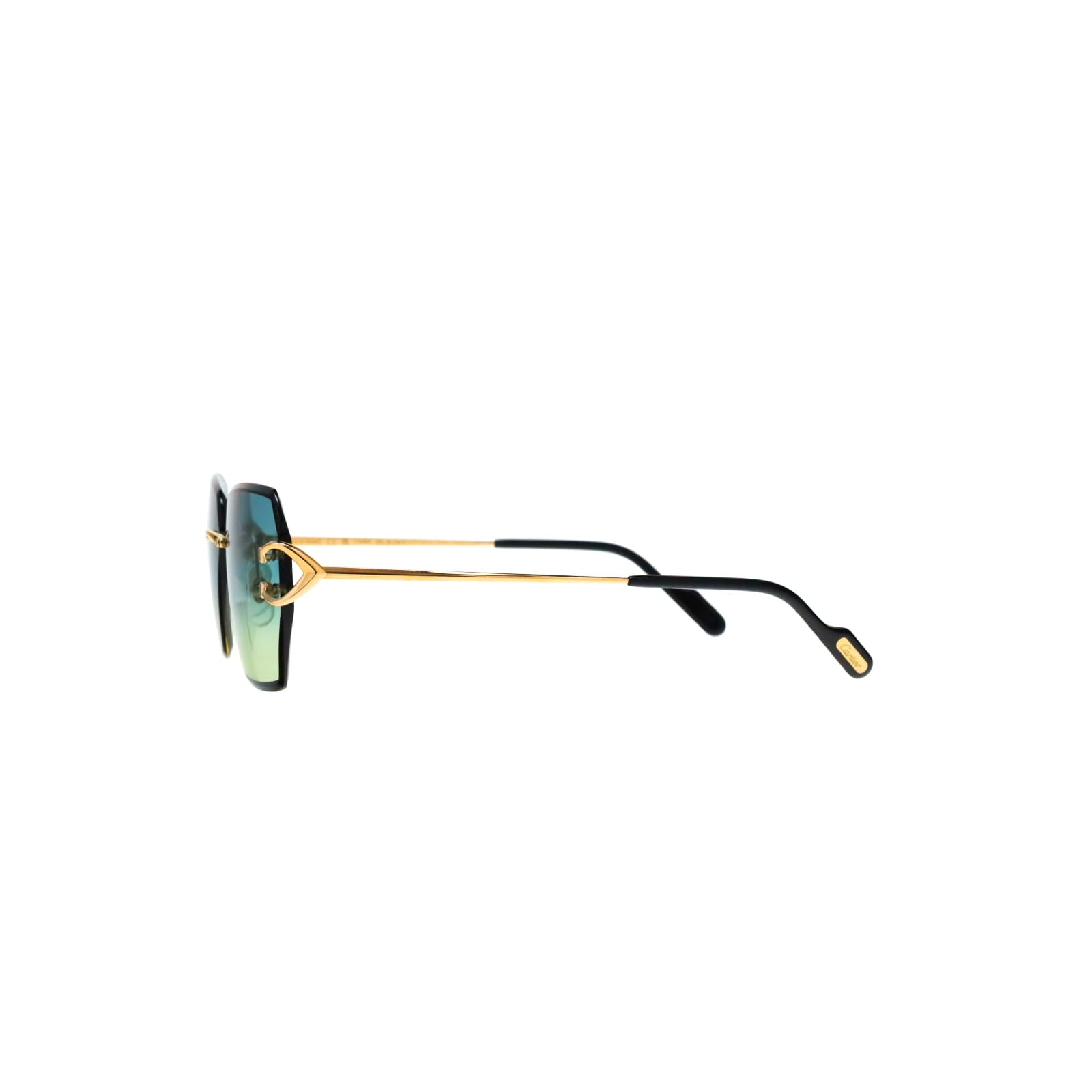 CT0466S  Signature C Sunglasses