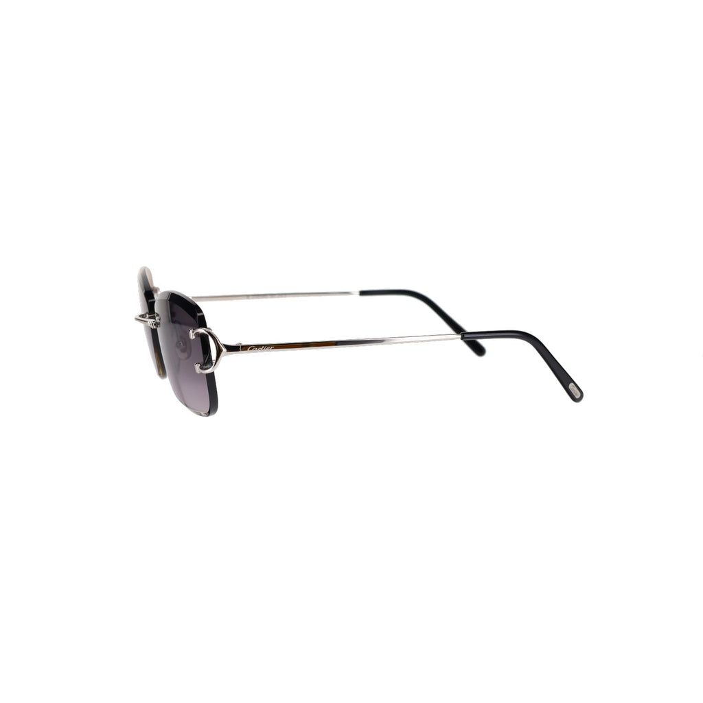 CT0010RS Signature C Sunglasses