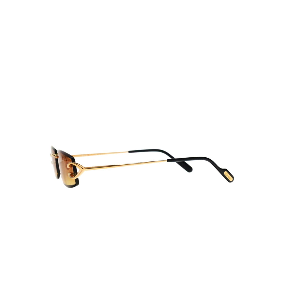 CT0465S Signature C  Rectangular Sunglasses