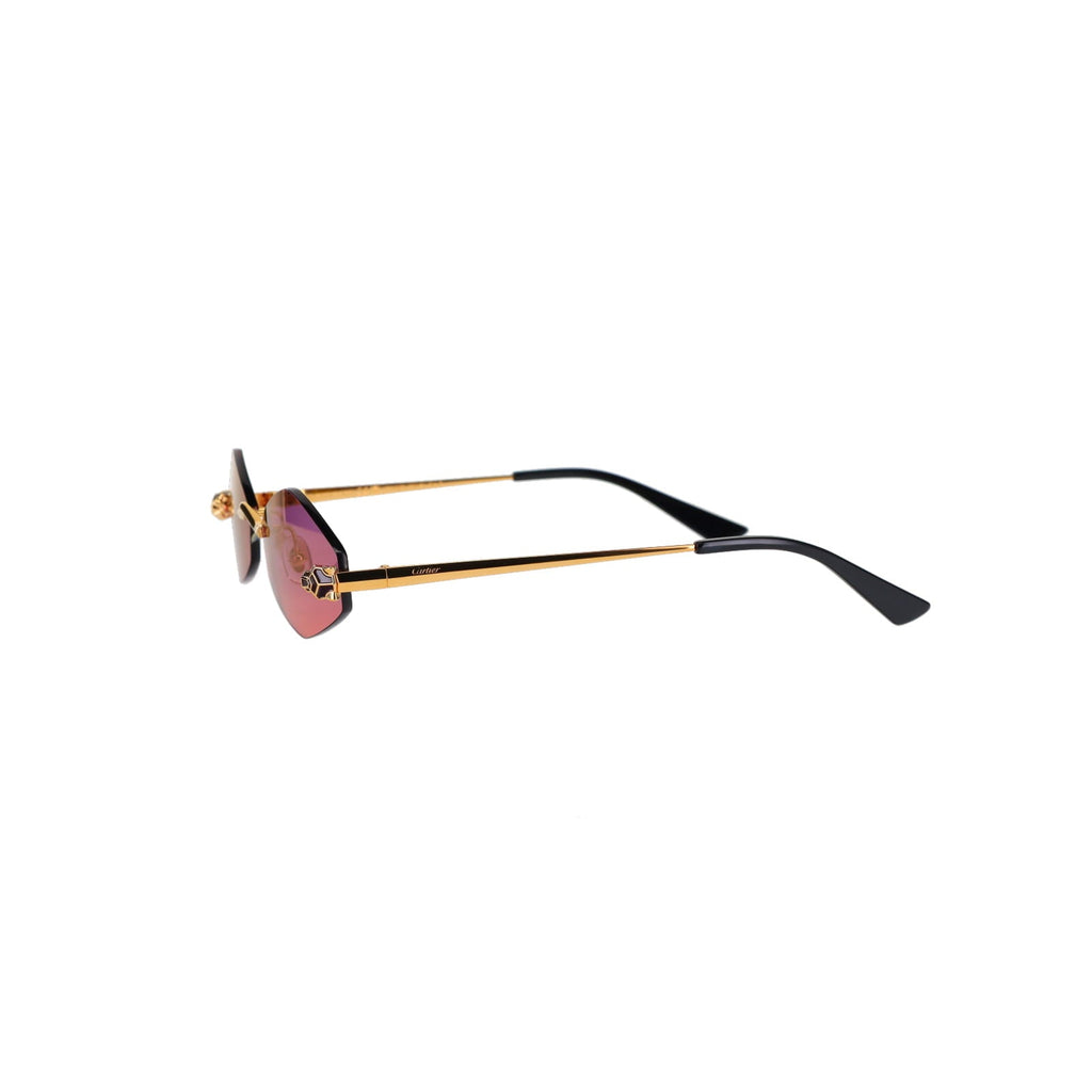 CT0433S Hexagonal Panthère Sunglasses