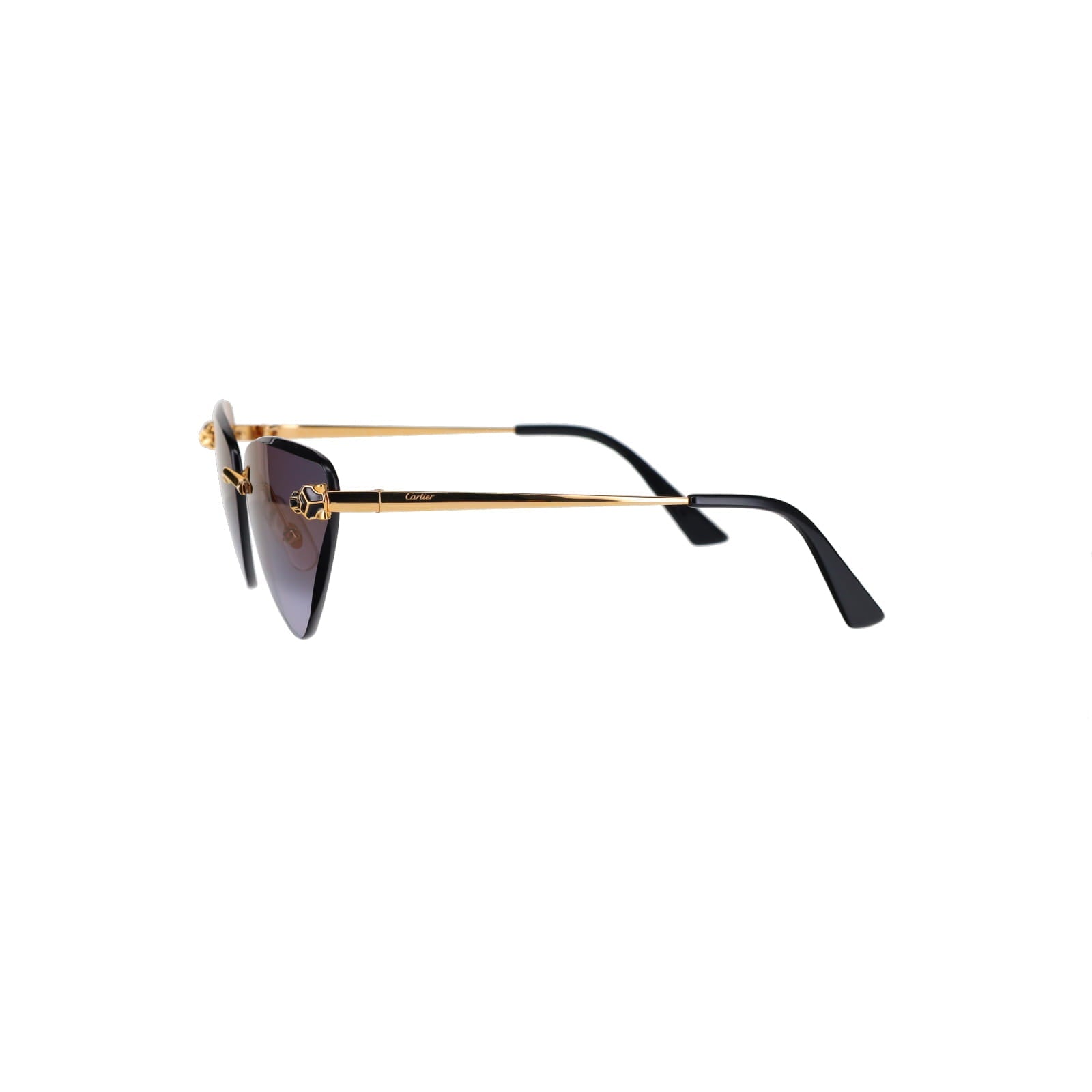 CT0399S Geometric Panthère Sunglasses