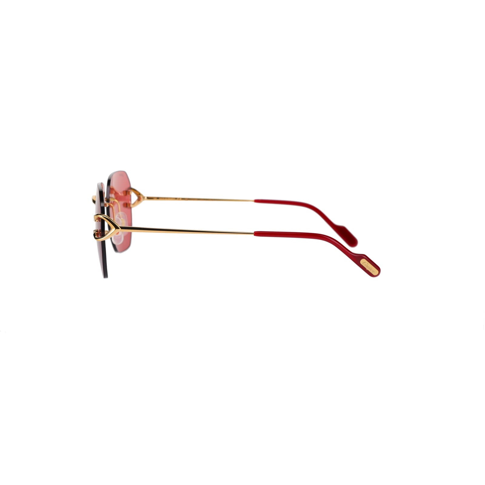 CT0394S Signature C Sunglasses