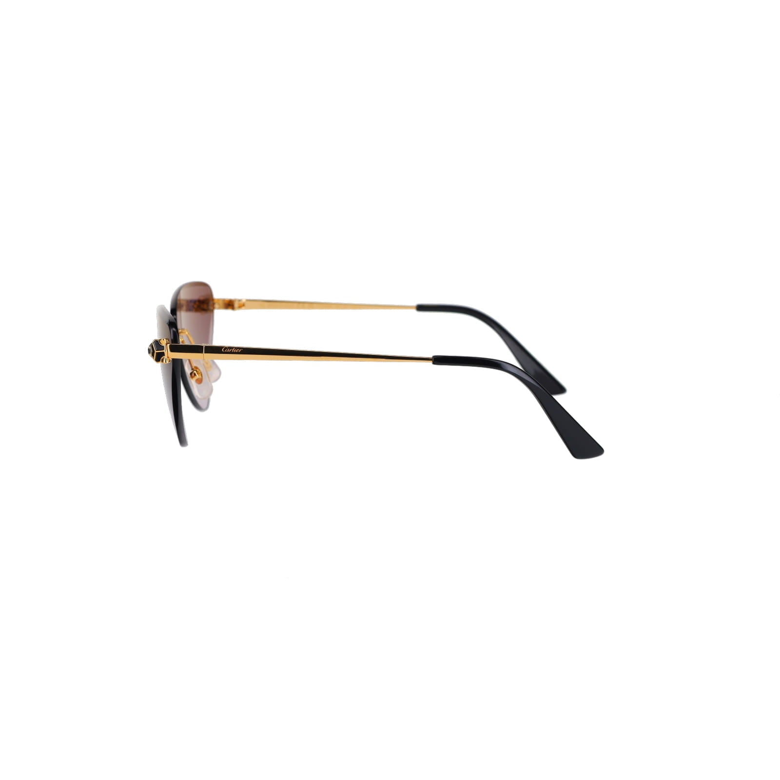CT0399S Geometric Panthère Sunglasses