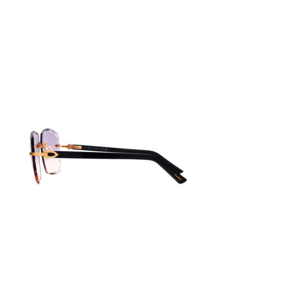 Cartier Custom C Décor Acetate Sunglasses