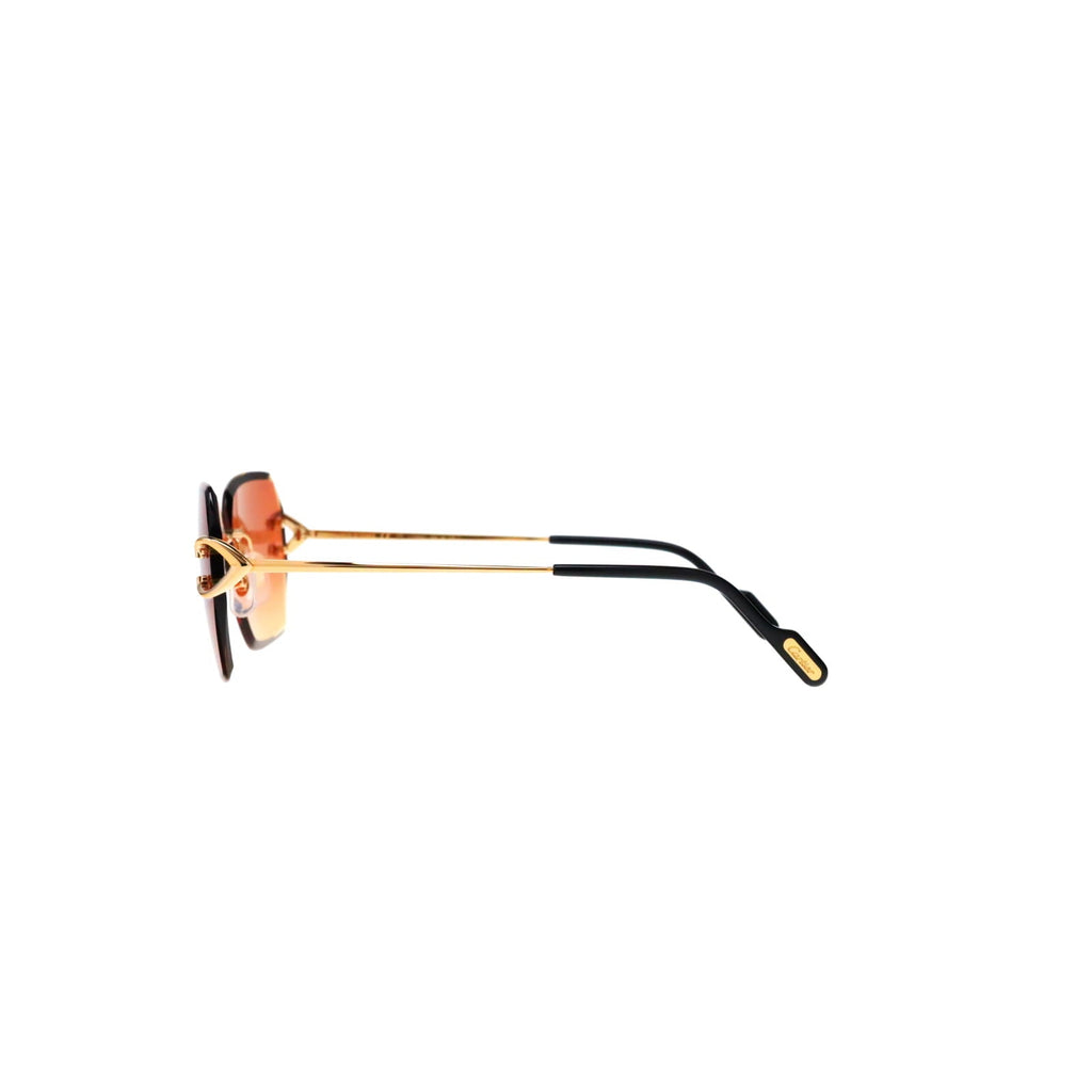 CT0466S  Signature C Sunglasses