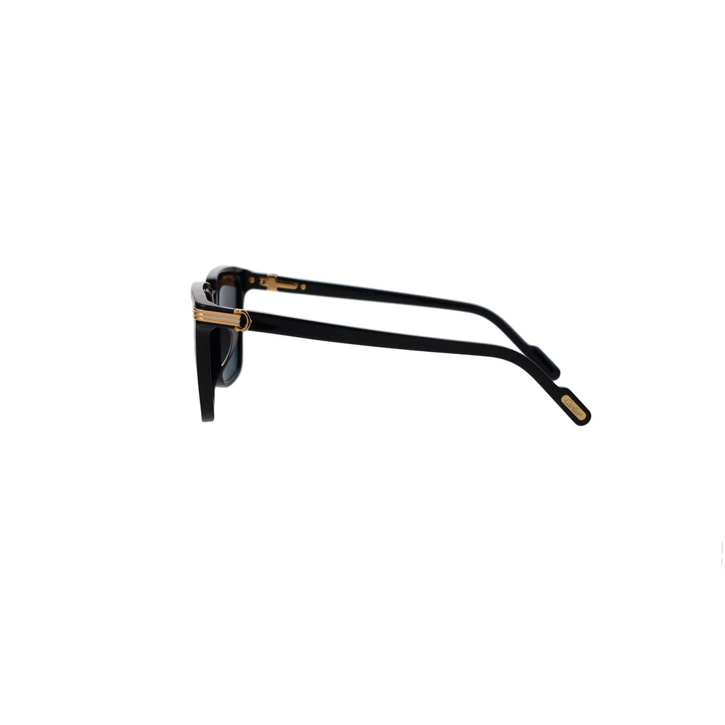 CT0366S Contemporary Acetate Sunglasses