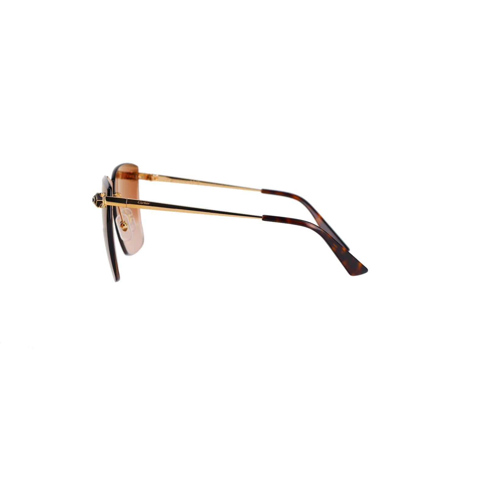 CT0397S Panthère Sunglasses