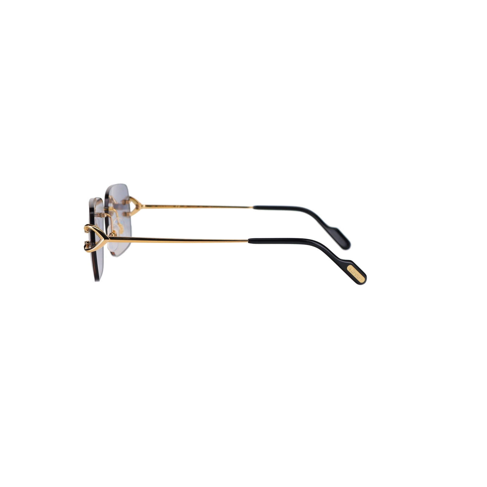 CT0330S Signature C  Sunglasses