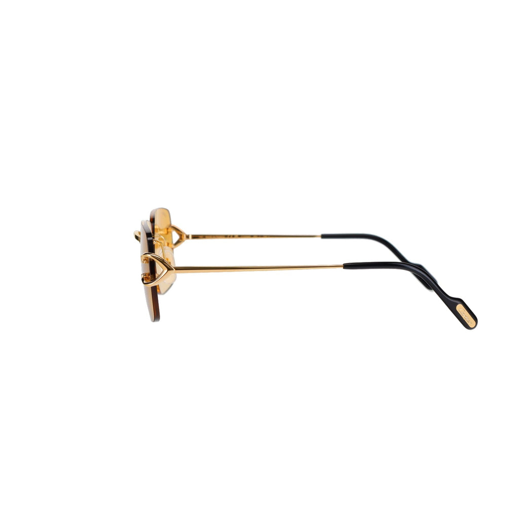 CT0330S Signature C  Sunglasses