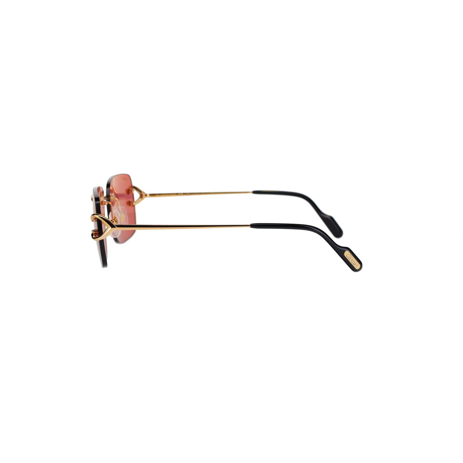 CT0330S Signature C  Sunglasses