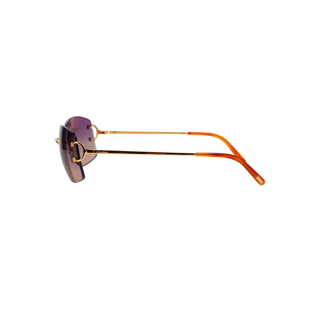 CT0008RS Signature C Sunglasses