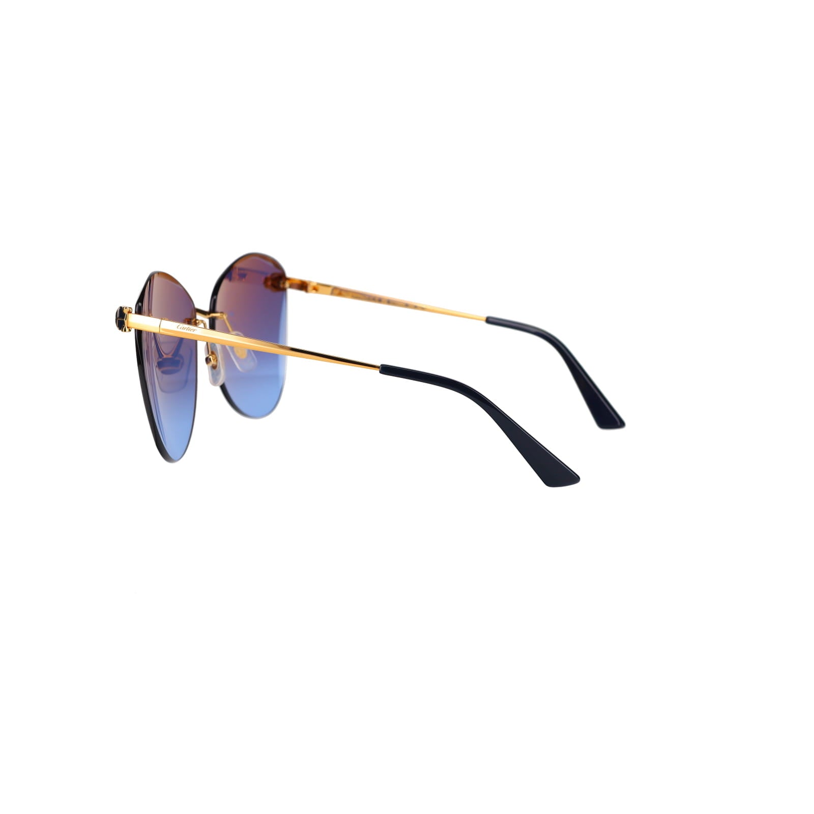 CT0398S Cat-eye Panthère Sunglasses