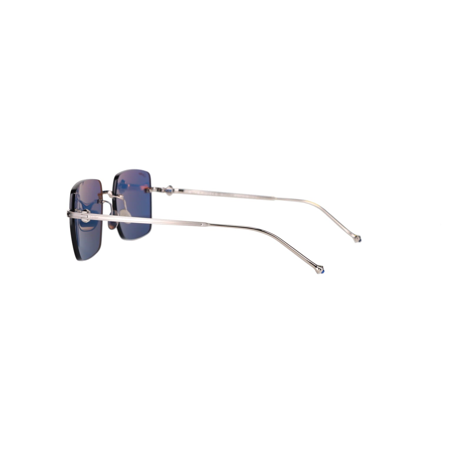 CT0403S Pasha Sunglasses