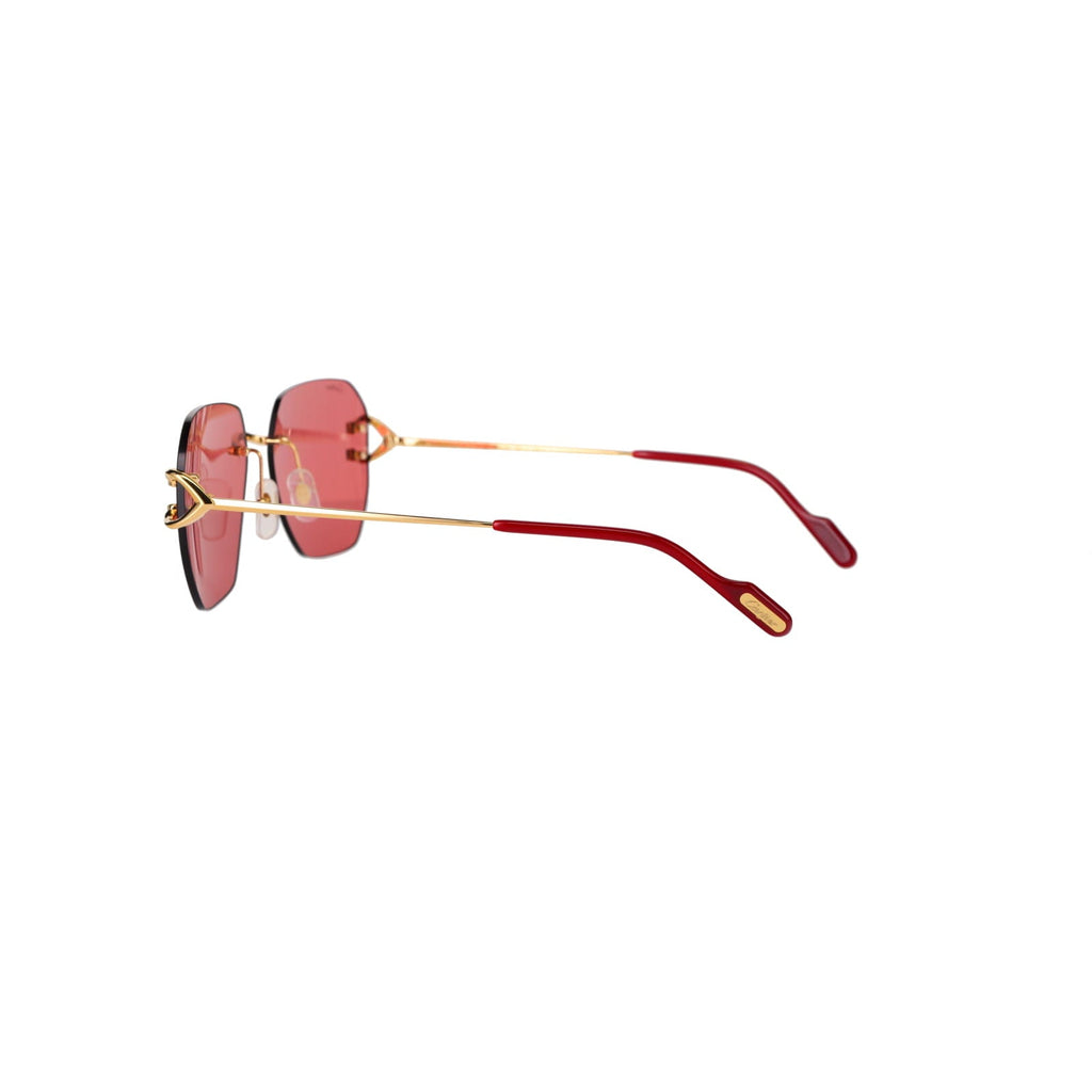 CT0394S Signature C Sunglasses