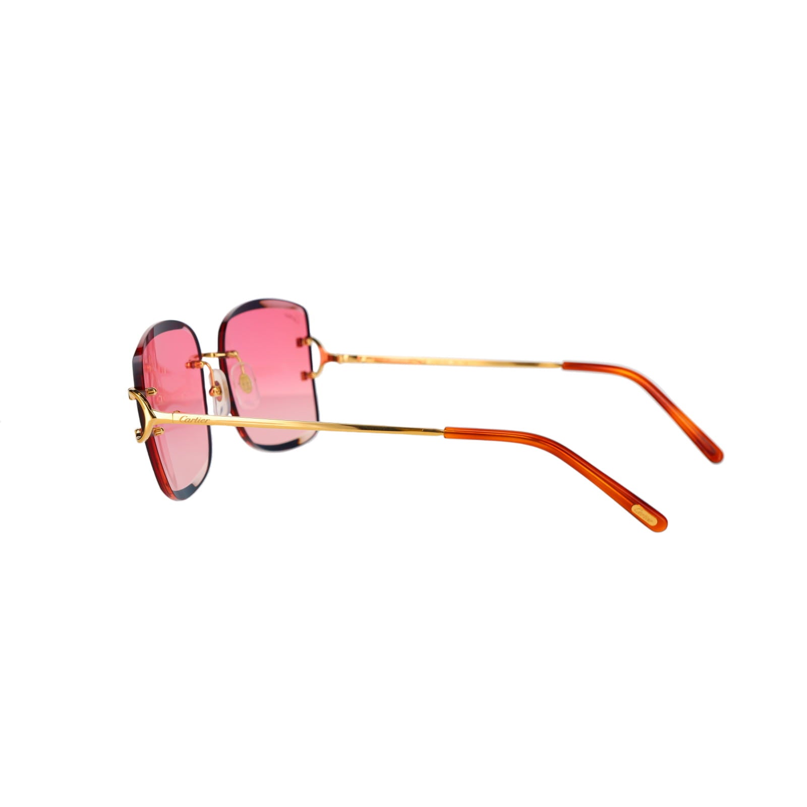 CT0007RS Signature C Sunglasses