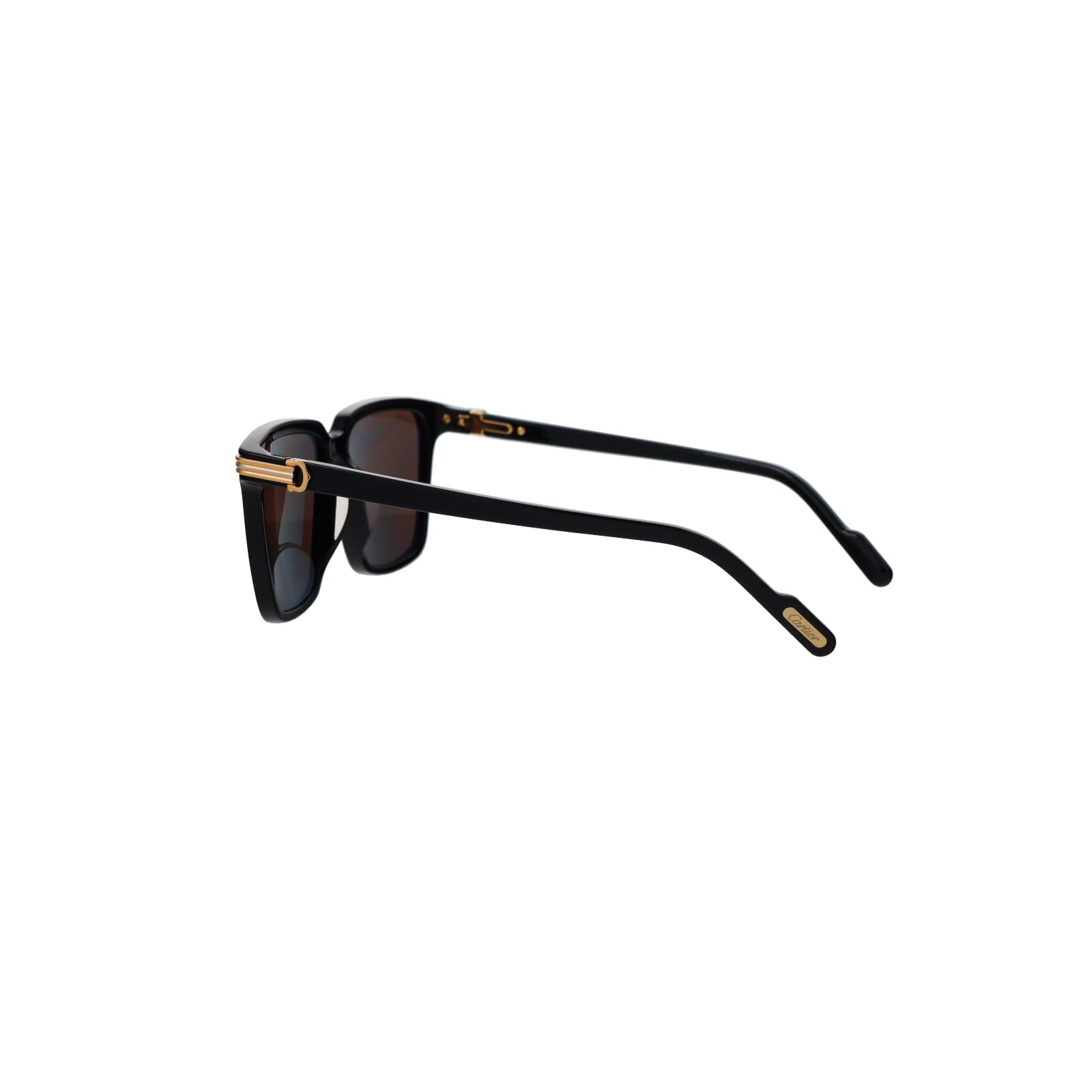 CT0366S Contemporary Acetate Sunglasses