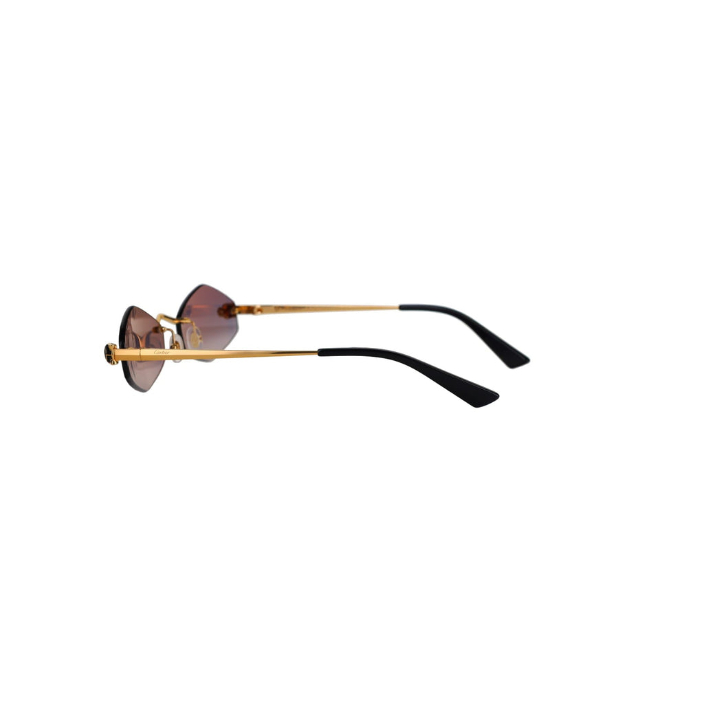 CT0433S Hexagonal Panthère Sunglasses
