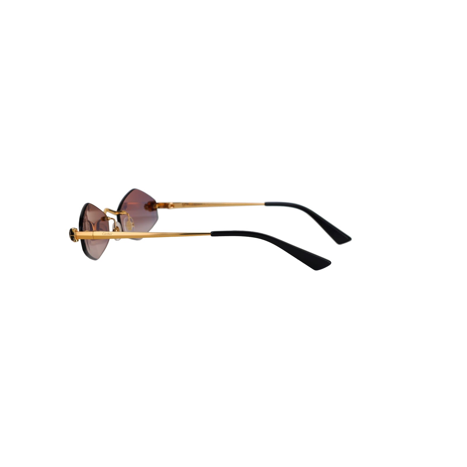 CT0433S Hexagonal Panthère Sunglasses