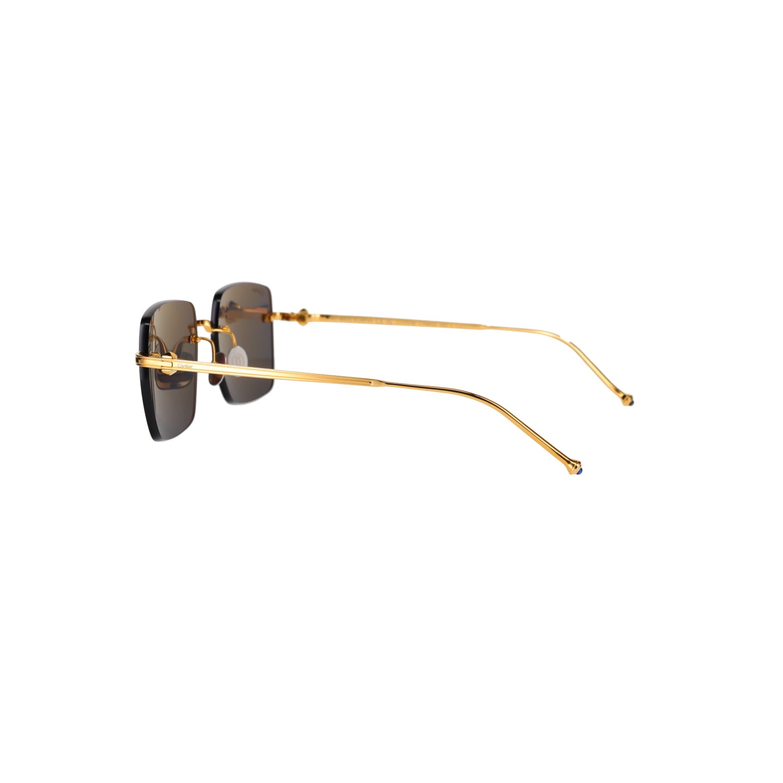 CT0403S Pasha Sunglasses