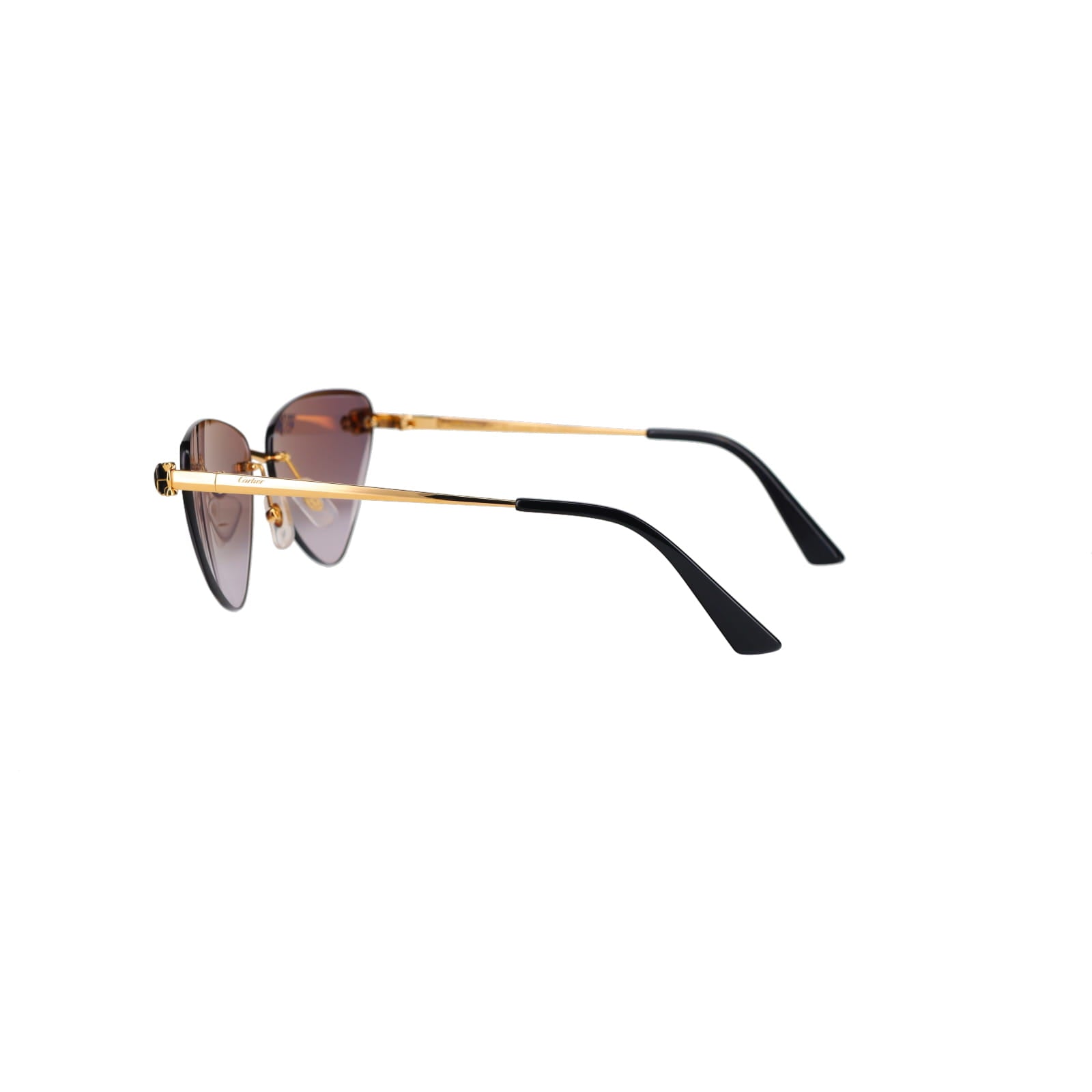 CT0399S Geometric Panthère Sunglasses