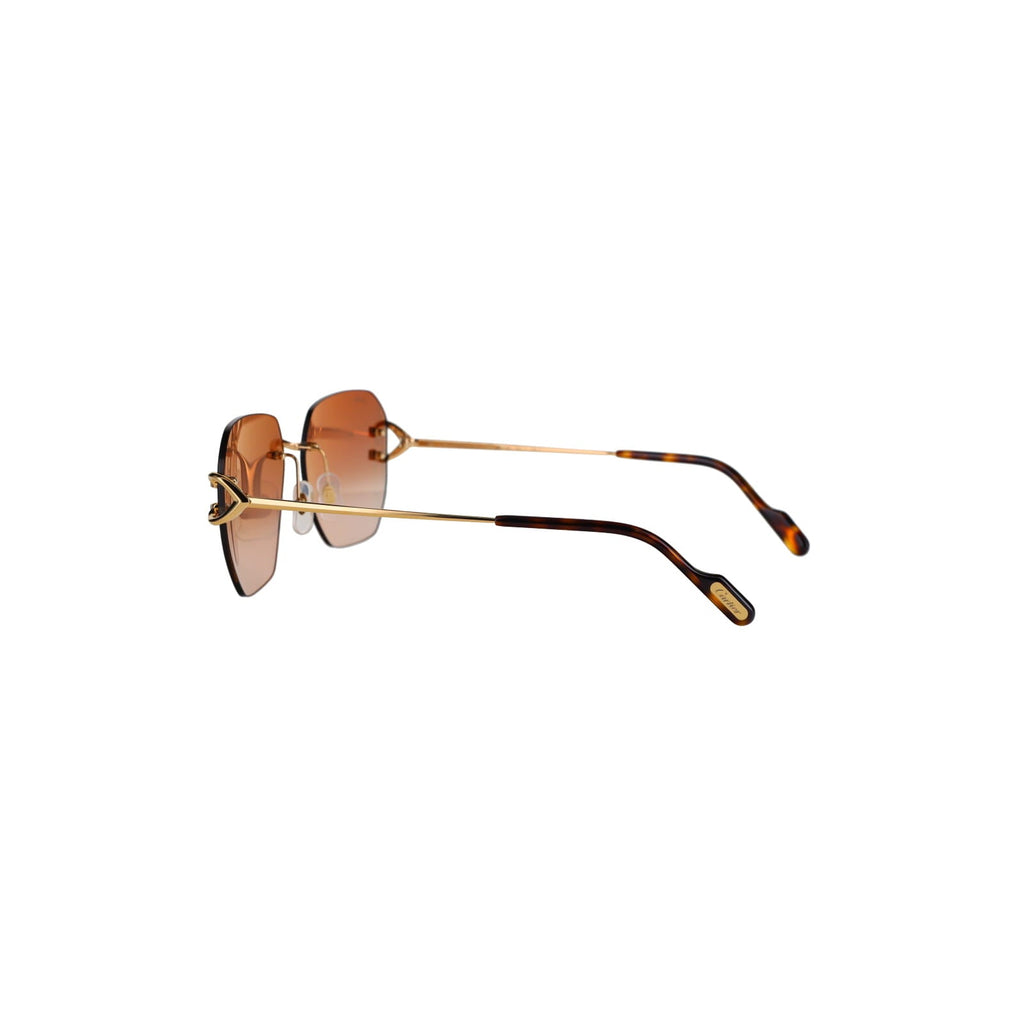 CT0394S Signature C Sunglasses