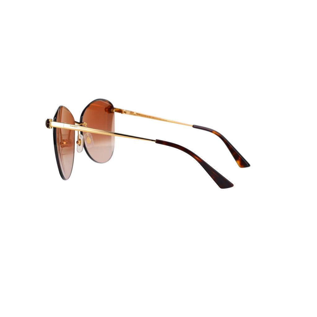 CT0398S Cat-eye Panthère Sunglasses