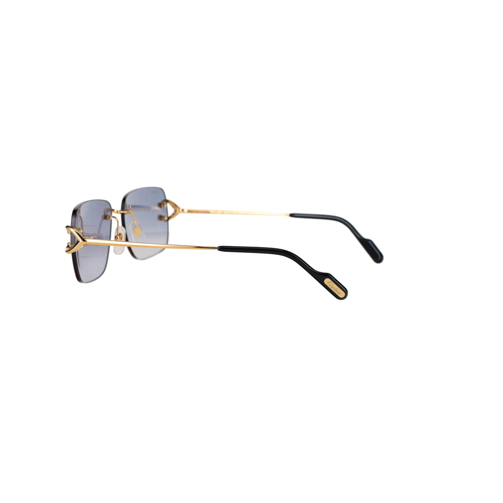 CT0330S Signature C  Sunglasses
