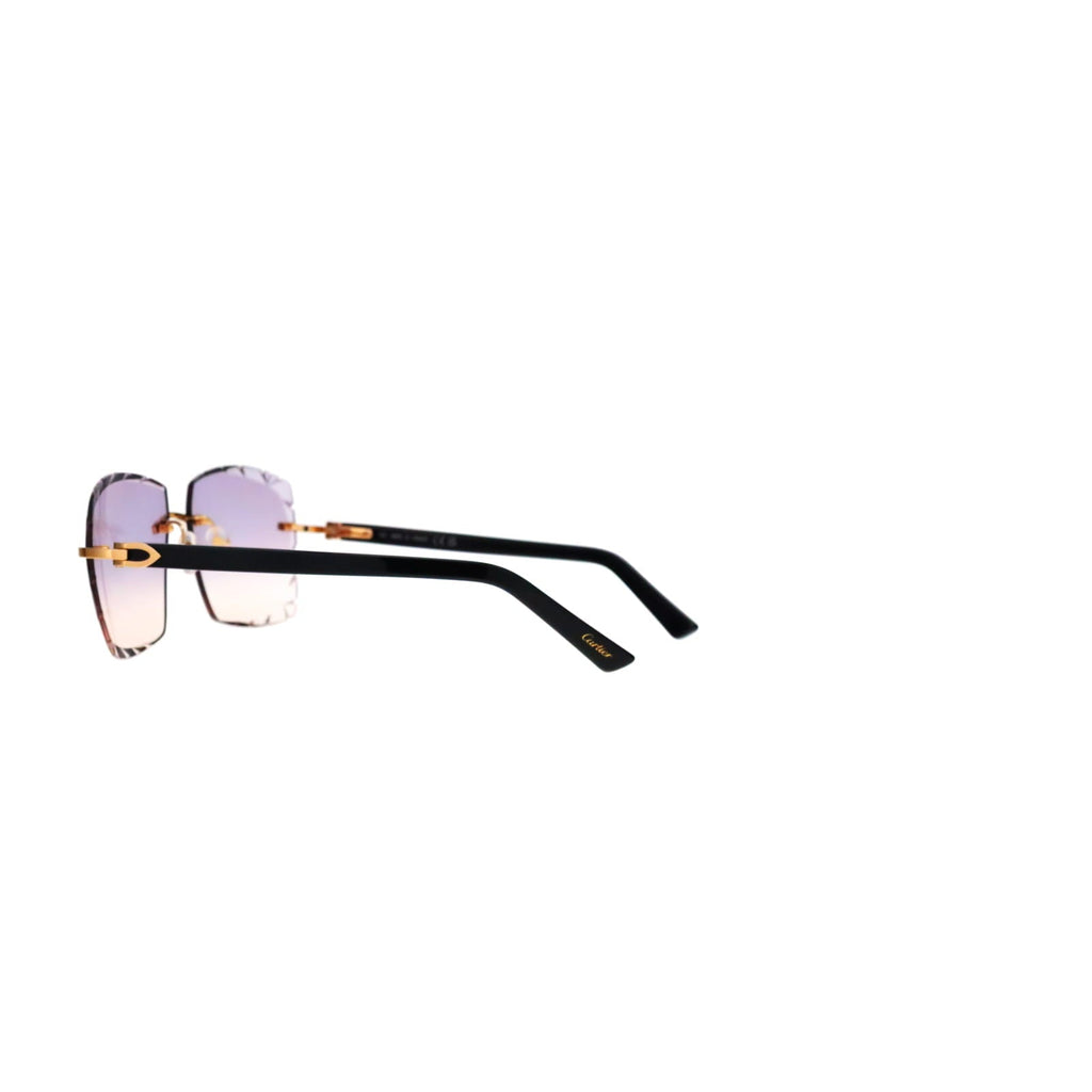 Cartier Custom C Décor Acetate Sunglasses