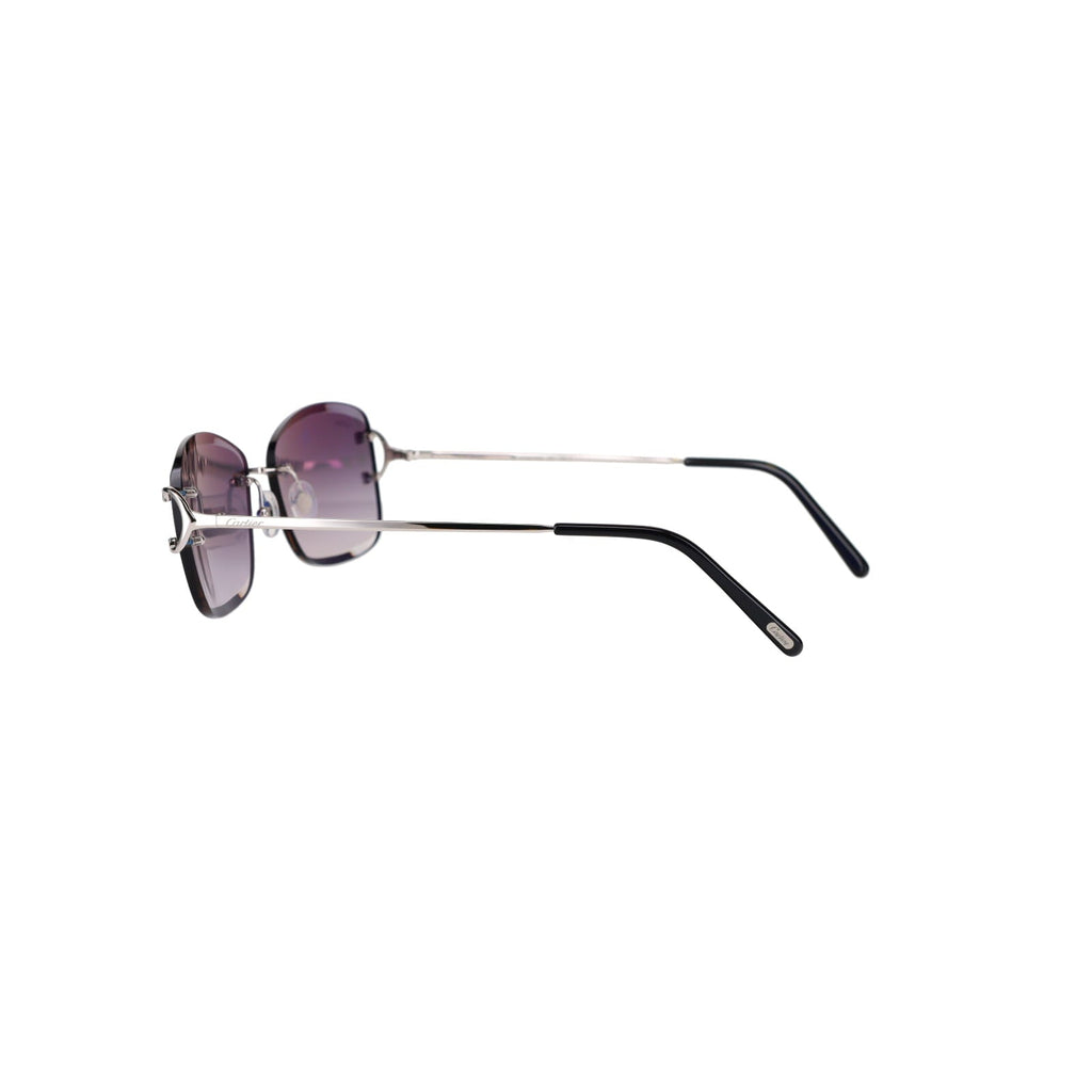 CT0010RS Signature C Sunglasses