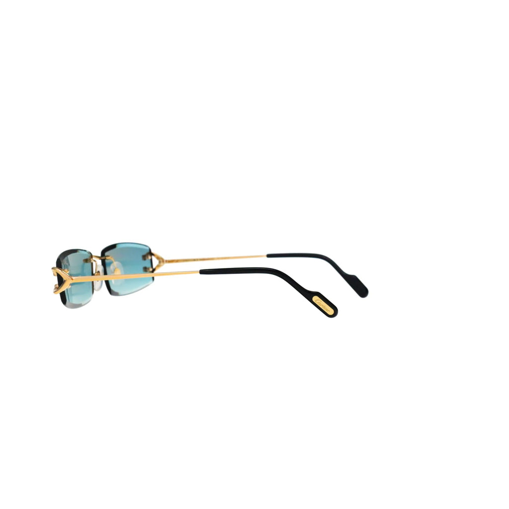 CT0465S Signature C  Rectangular Sunglasses