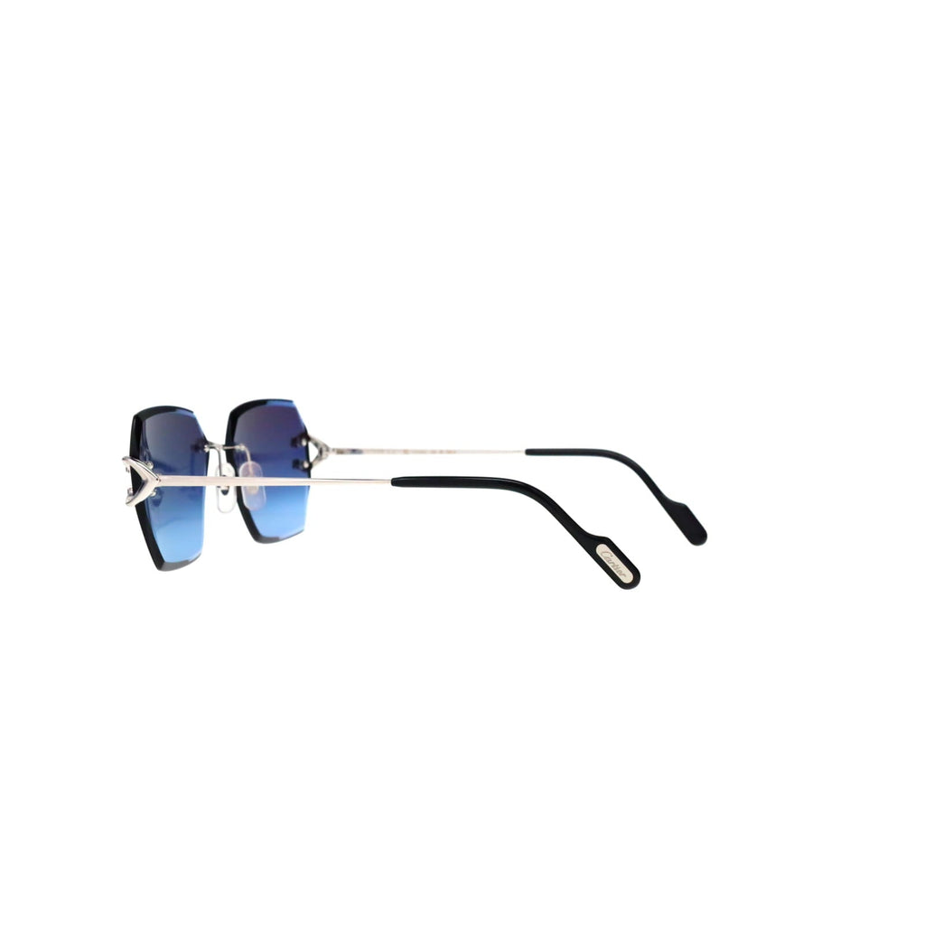 CT0466S  Signature C Sunglasses