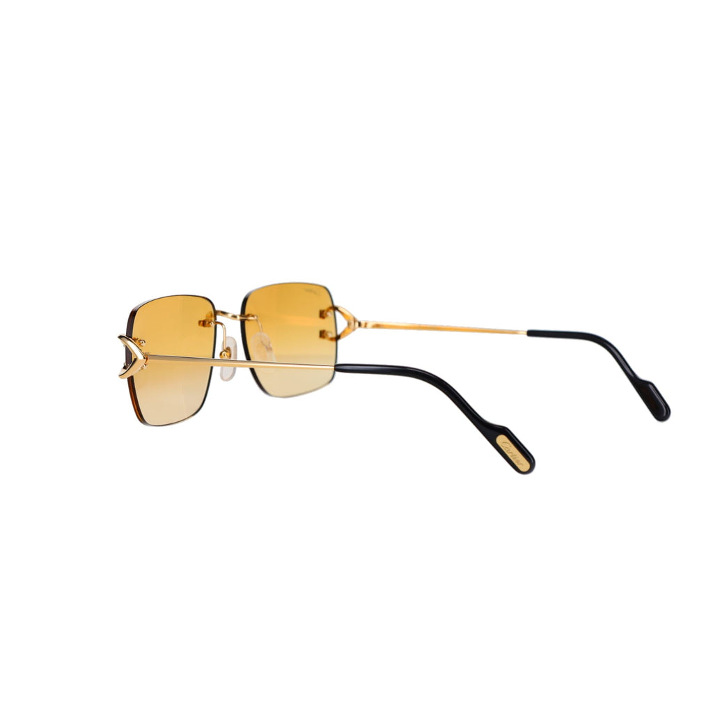 CT0330S Signature C  Sunglasses
