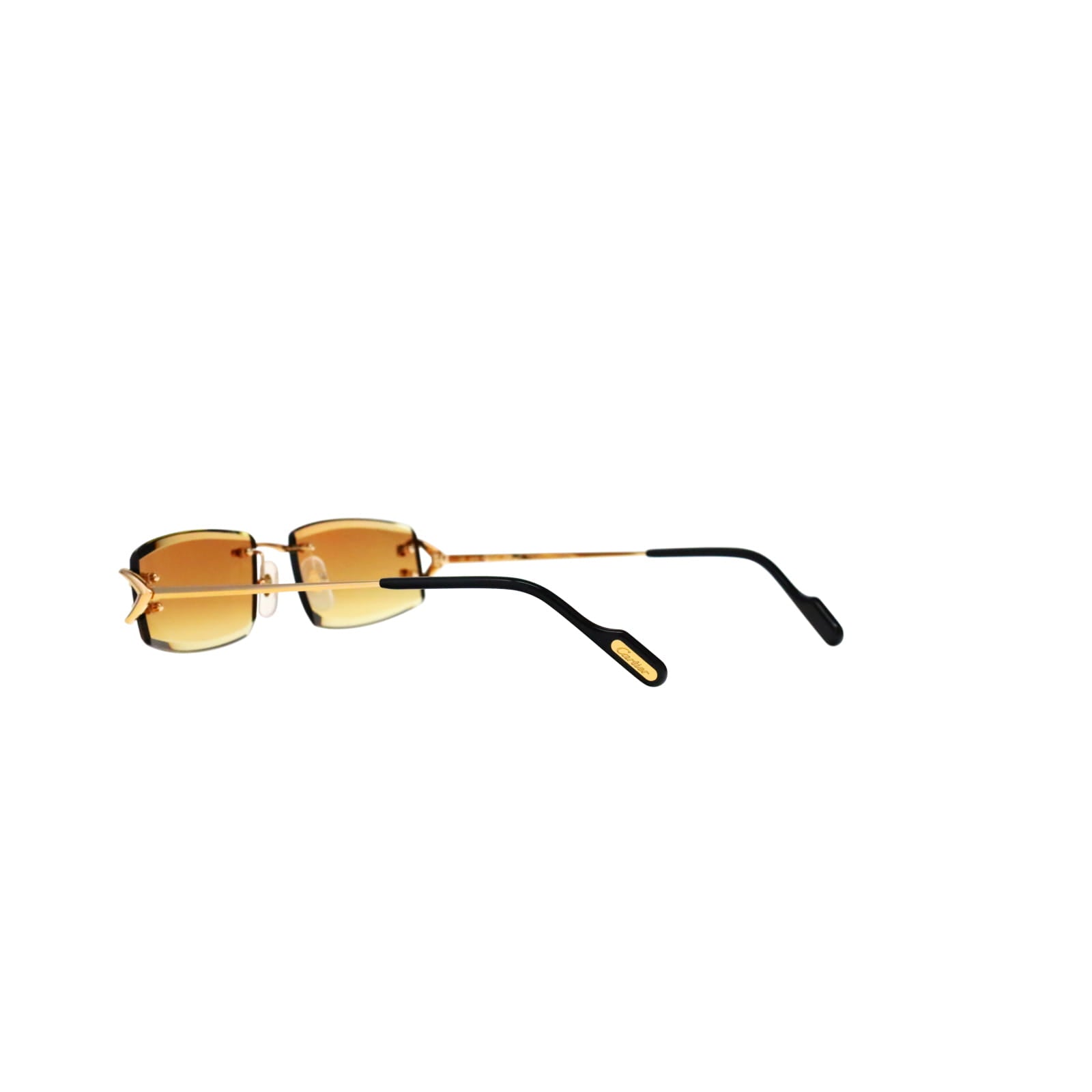 CT0465S Signature C  Rectangular Sunglasses