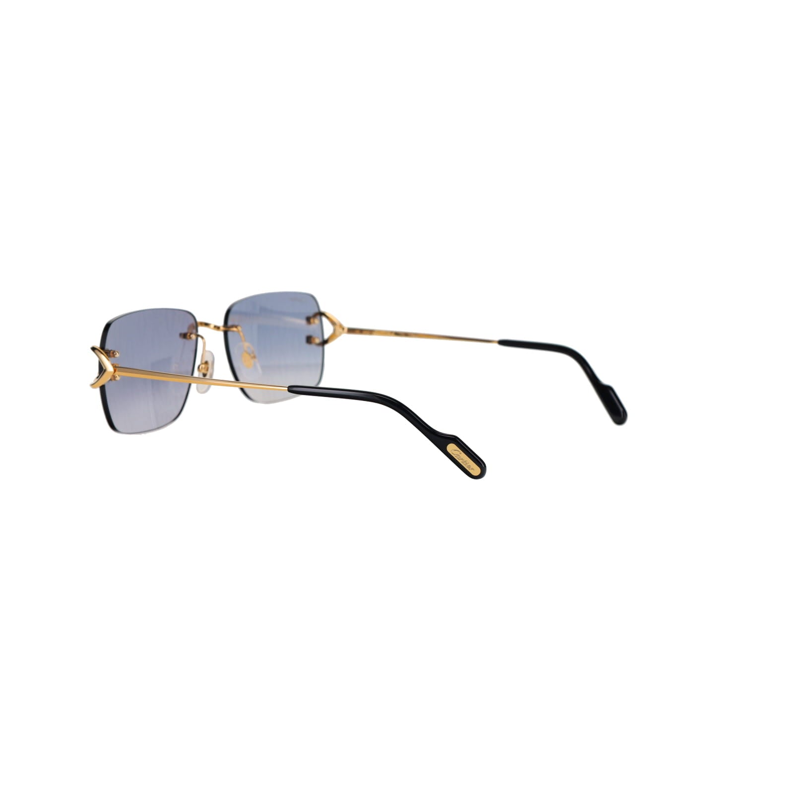 CT0330S Signature C  Sunglasses