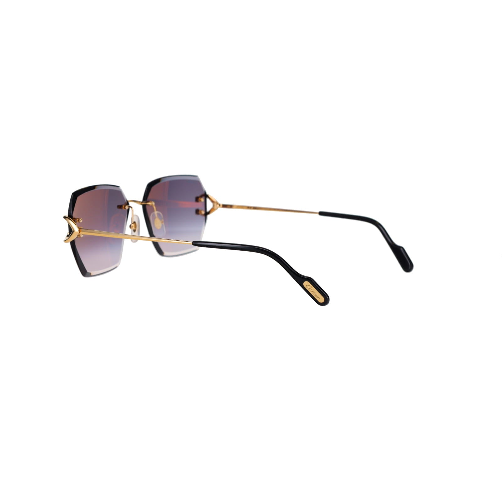 CT0466S  Signature C Sunglasses