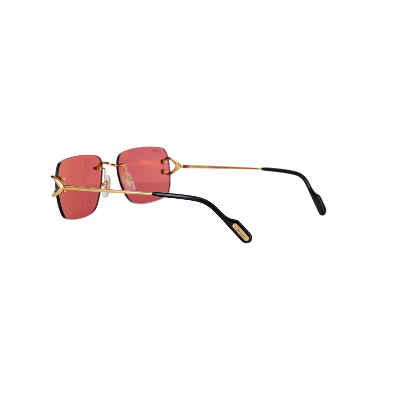 CT0330S Signature C  Sunglasses
