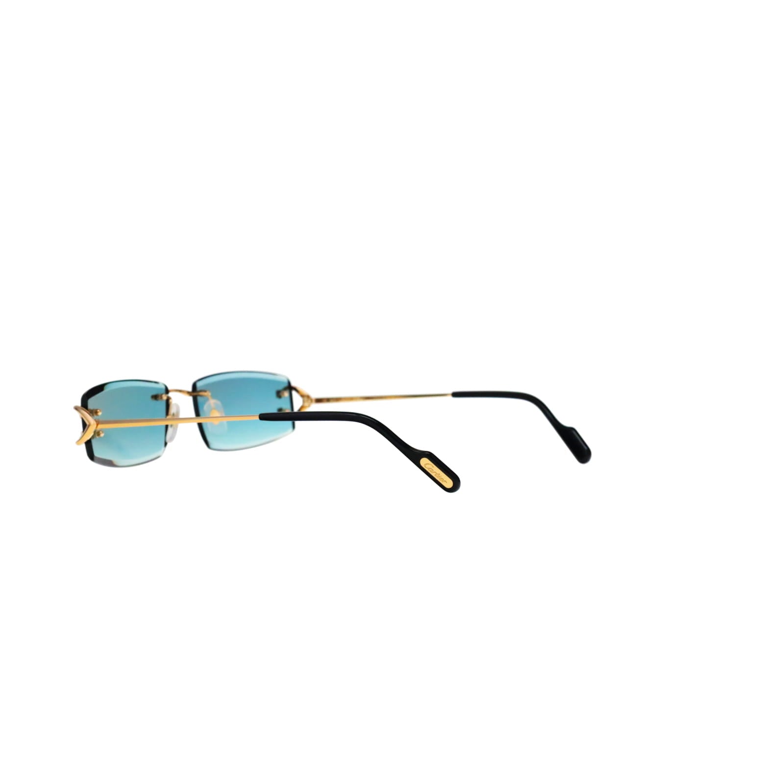 CT0465S Signature C  Rectangular Sunglasses